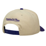 Mitchell & Ness Pánská kšiltovka Los Angeles Lakers NBA Off Tilted Pro Snapback