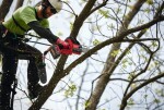 Aku prořezávací pila Milwaukee M18 FHS20-0 4933480117