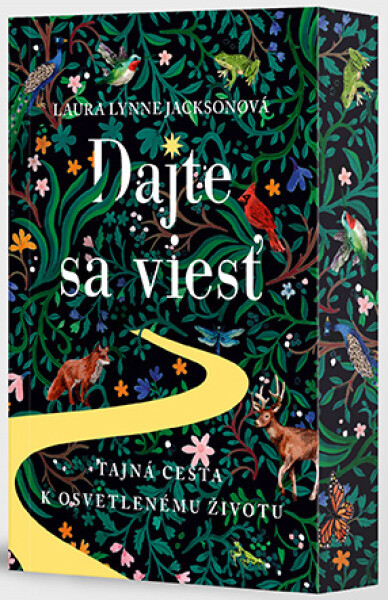 Dajte sa viesť - Laura Lynne Jackson