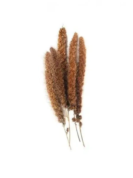 AnimALL Senegalské proso červené 200 g (112254)