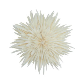 Watt & Veke Závěsná svítící hvězda Maja White 50 cm, bílá barva, papír