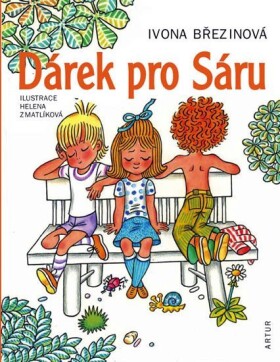 Dárek pro Sáru, 2. vydání - Ivona Březinová