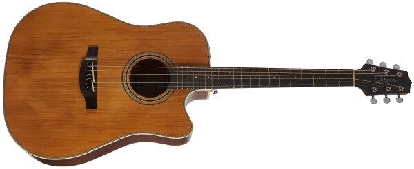 Takamine GD20CE-NS