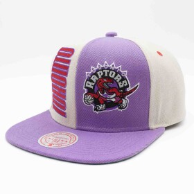Mitchell & Ness Pánská kšiltovka Toronto Raptors NBA Pop Panel Snapback