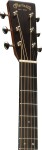 Martin D-28 Billy Strings