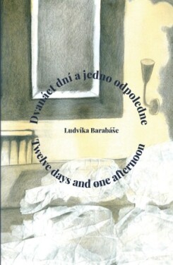 Dvanáct dní a jedno odpoledne / Twelve days and one afternoon - Ludvík Barabáš - e-kniha