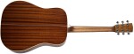 Cort Earth 100 NS