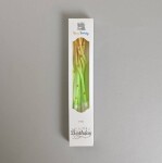 Dortisimo Svíčky spirálové zeleno-žluté se zlatým zdobením (6 ks)