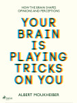 Your Brain Is Playing Tricks On You - Albert Moukheiber