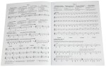MS The Original Sevcik Violin Studies: School Of Bowing Technique Part