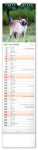 Nástěnný kalendář 2027 Notique kravata Kočky, 12 x 48 cm