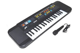 Klávesy s mikrofonem 54 cm, Wiky, W116500