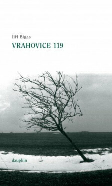 Vrahovice 119 - Jiří Bigas
