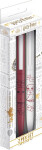 Harry Potter Set propisek 2 ks Special Delivery - EPEE