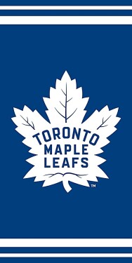 TipTrade Plážová osuška Toronto Maple Leafs NHL II. jakost