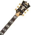 D'Angelico Excel EXL-1 Amber