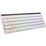 ASUS ROG Falchion Low Profile bílá / Bezdrátová herní klávesnice / mechanická / RX Low Profile / RGB / BT RF USB (90MP03EC-BKDA10)