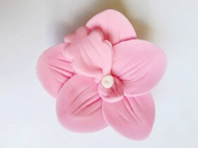 Dortisimo Cukrová orchidej růžová (9 ks)