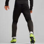 Puma Team Goal Training kalhoty M 658639 03 s