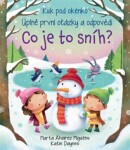 Co je to sníh?