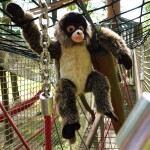 Plyšová opice chápan 30 cm ECO-FRIENDLY