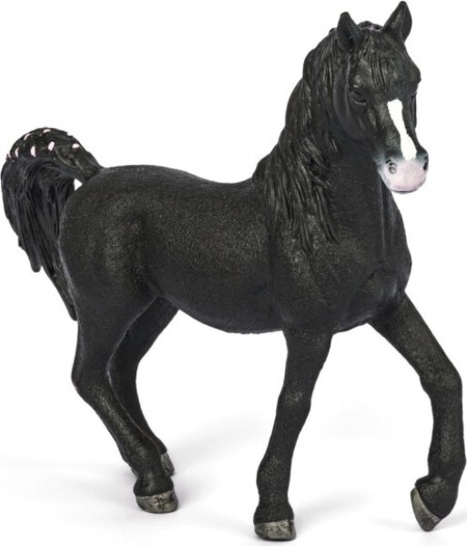 Zvířátko - arabský hřebec - Schleich