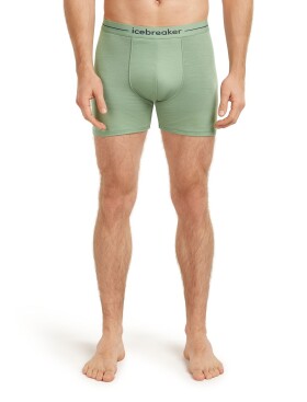 Pánské merino boxerky ICEBREAKER Mens Anatomica Boxers, Seaglass velikost: L