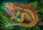 Puzzle 500d. Cherry Pazzi Fantastický leguan