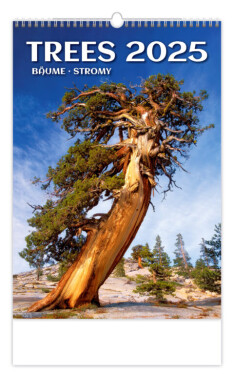Nástěnný kalendář 2025 Stromy