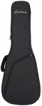 Eastman FT-DC'62 Moss Black
