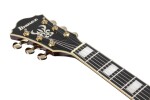 Ibanez AG95K Natural