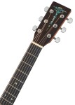 Sigma Guitars DT-STE