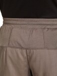 Pánské merino kraťasy ICEBREAKER Mens 125 ZoneKnit Speed 6 Shorts, Porcini velikost: L