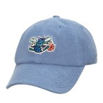 Mitchell & Ness Pánská kšiltovka Charlotte Hornets NBA Heritage Hues Strapback Hardwood Classics