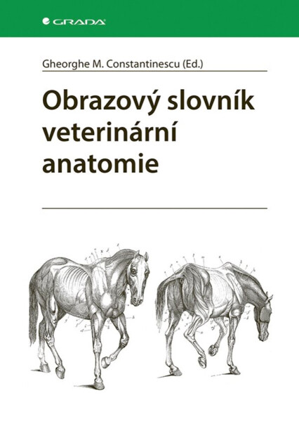 Obrazový slovník veterinární anatomie - Constantinescu M. Gheorghe