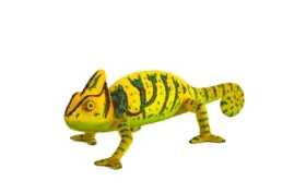 Animal Planet Chameleón