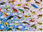 GALISON Puzzle Mořští ptáci
