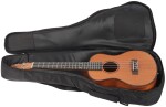 Tanglewood Tenor Ukulele Bag