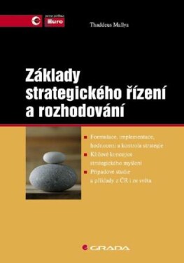 Základy strategického řízení a rozhodování - Thaddeus Mallya - e-kniha