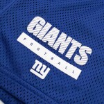 Nike Pánské kraťasy New York Giants NFL 2024 Sideline Mesh Dri-FIT Shorts Velikost: S