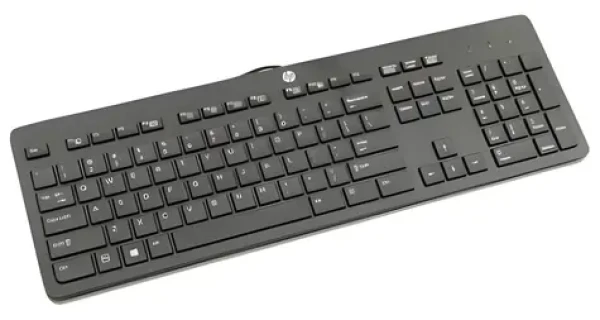 HP Slim USB černá / Drátová klávesnice / USB / DK (803181-081)
