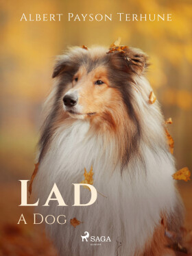 Lad: A Dog - Albert Payson Terhune