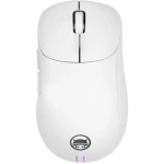 GAMIAC PA50 bílá / herní ergonomická myš / optická / 12400 DPI / 6 tlačítek / USB-C (GAMO-PA50W17.21)