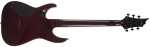 ESP LTD H-200FM DBSB