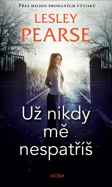 Už nikdy mě nespatříš - Lesley Pearse