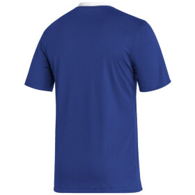 Pánské tričko Entrada 22 JSY M HG6283 - Adidas xs