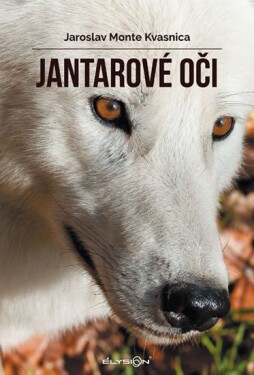 Jantarové oči Jaroslav Monte Kvasnica