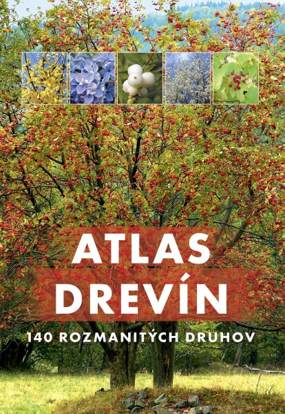 Atlas drevín - Aleksandra Halarewicz