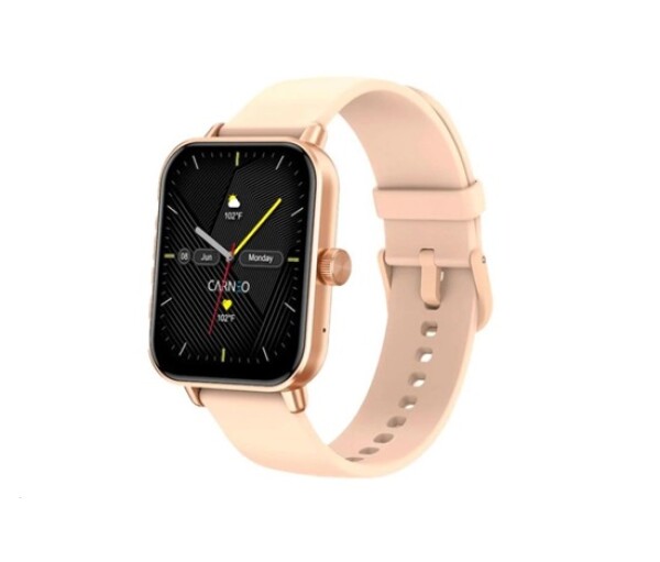 CARNEO Versa HR+ rosegold EDF_1886207