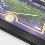 Obraz Minnesota Vikings NFL Team Stadium Bronze Coin